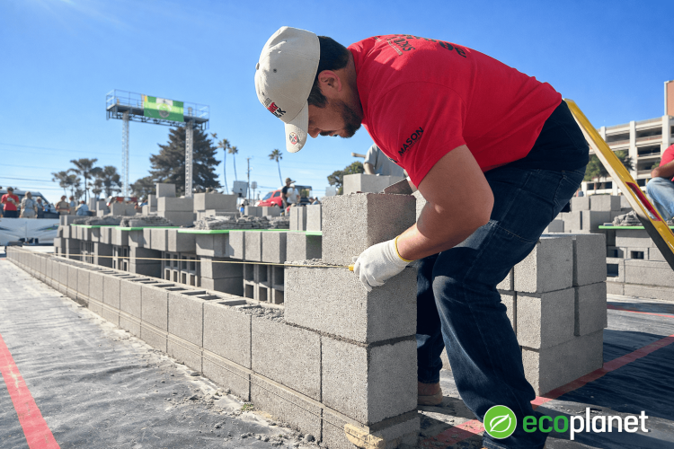 MASONRY MADNESS: রাজমিস্ত্রি যখন সুপারস্টার!